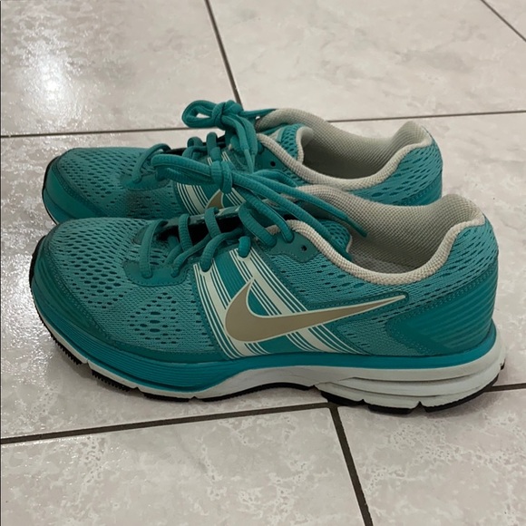 nike pegasus 29 nike pegasus 29